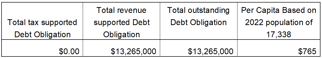 Debt Transparency Chart 2024